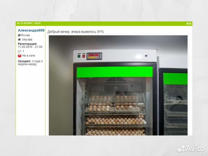 Инкубатор на 210 яиц