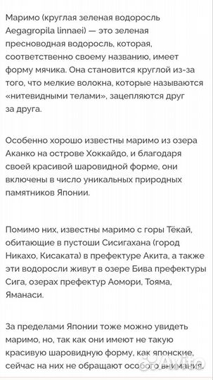 Маримо, кладофора, японский мох