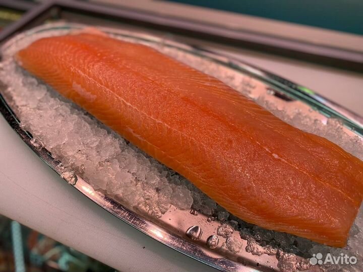 Лосось филе слабосолённый. Улов 2023. Опт