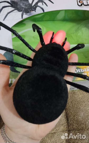 Игрушка новая паук на пульте ду