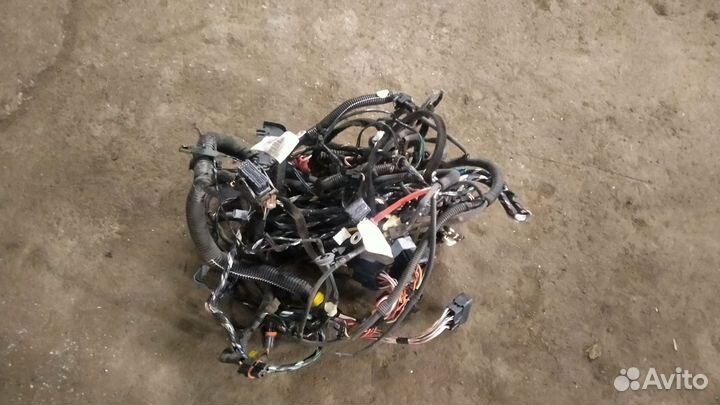 Проводка (коса) для Nissan Terrano III