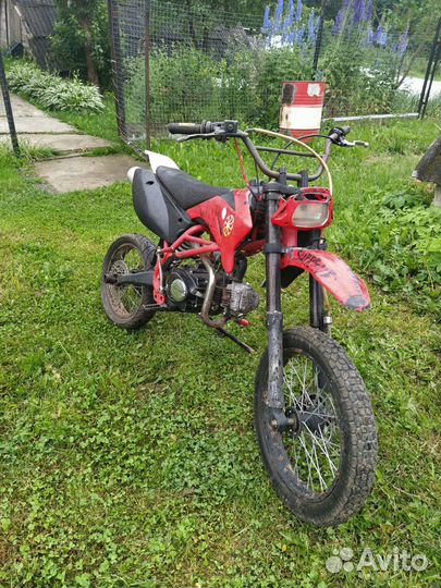Irbis ttr