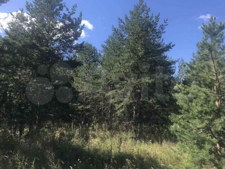 Участок 19 сот. (ИЖС)