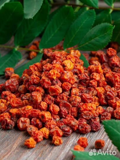 Рябина красная высушенная