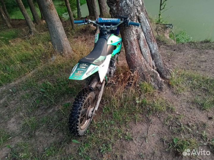 Kawasaki KX 65