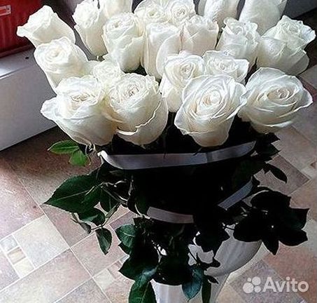 Розы высокие 150 160 170 180 190 200см