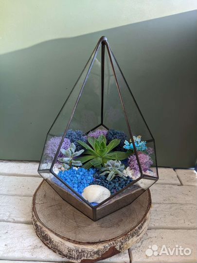 Флорариум с суккулентами
