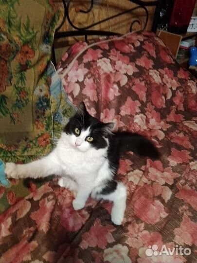 Девочка с дачи