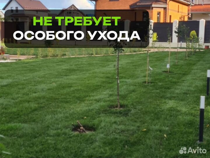 Рулонный газон Элитный. От производителя