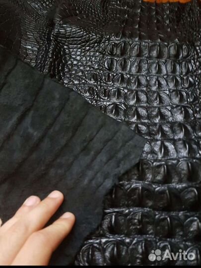 Натуральная кожа крокодила