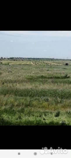 Сено луговое солома люцерна