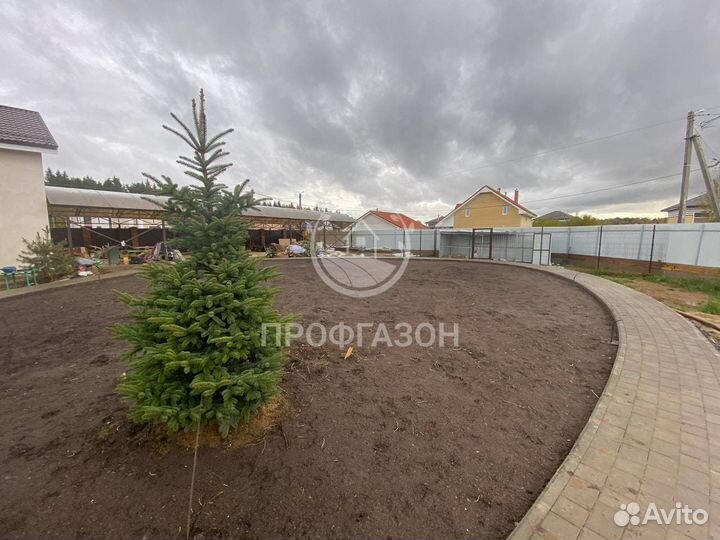 Газон Элитный рулонный сертифицированный