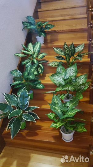 Искусственное дерево, пальма.,монстера,цветы