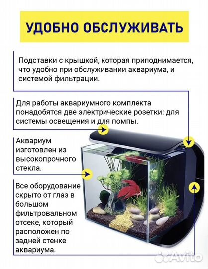 Аквариумные рыбки