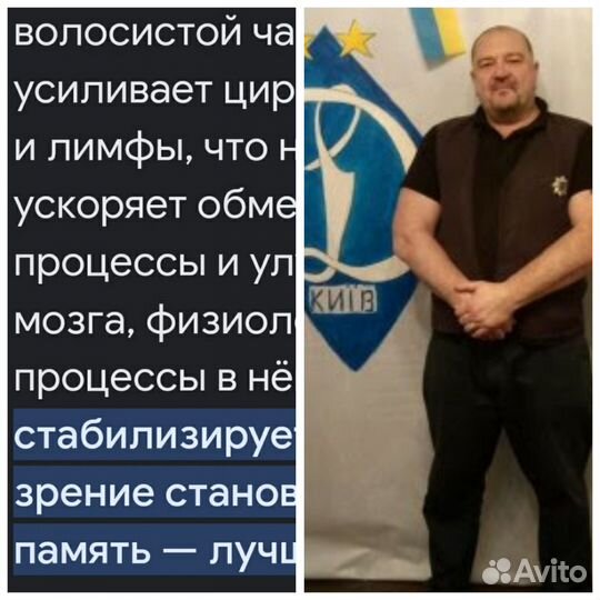 Доктор реабилитолог