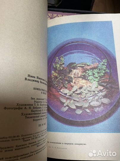 Клинковская Н.И., Комнатные растения в школе