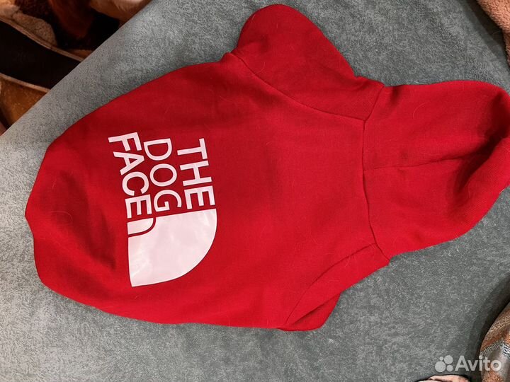 Одежда для собак