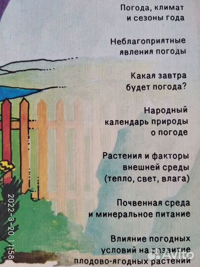 Погода, огород и сад любителя
