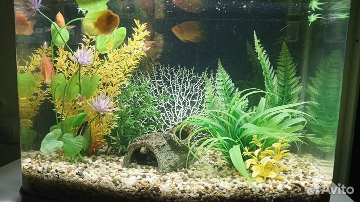 Аквариум jebo r 362 на 100 литров