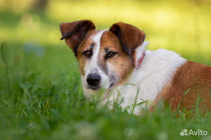Прекрасная Барбара в поиске семьи