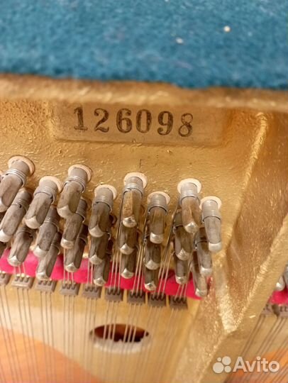 Фортепиано петроф