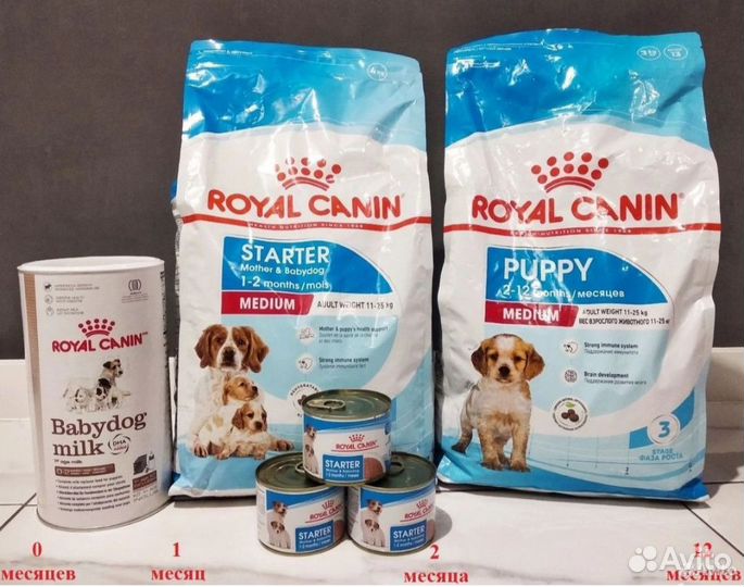 Корм для собак royal canin starter
