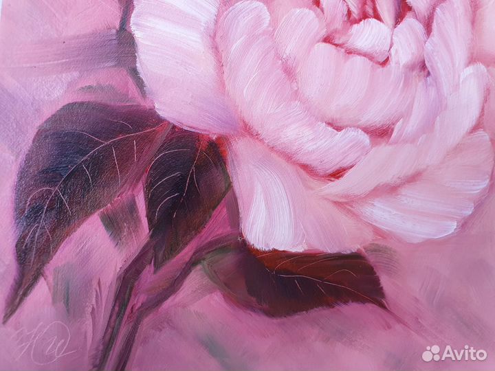 Картина маслом Роза