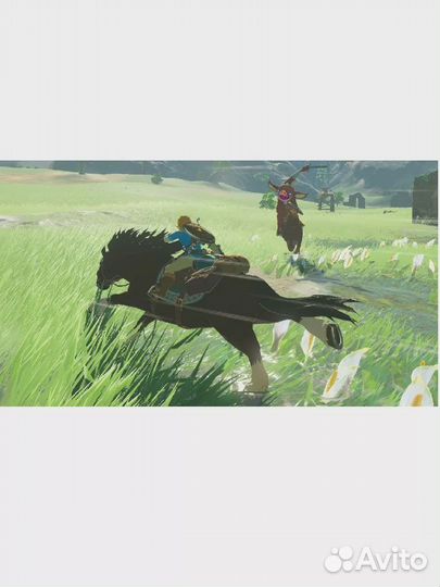 The Legend of Zelda: Breath of the Wild / zelda breath wild RUS Nintendo