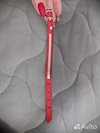 Ошейник для собак