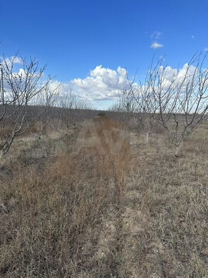 Участок 10 га (СНТ, ДНП)