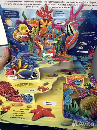 Книжки для детей объемные