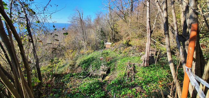 Участок 8,3 сот. (СНТ, ДНП)