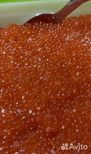 Красная икра оптом