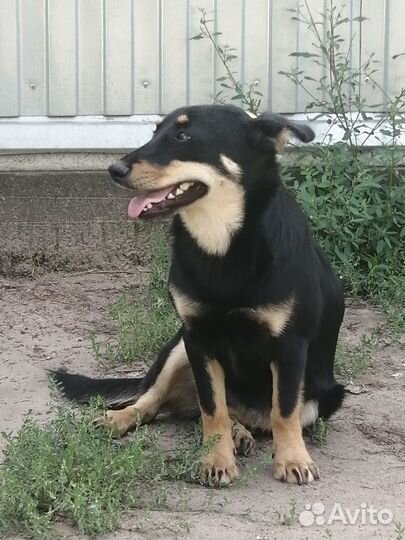 От сердца к сердцу