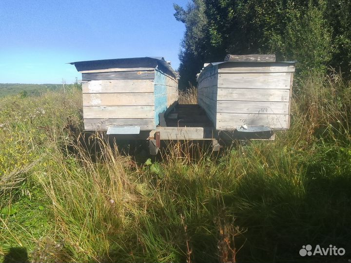 Улей для пчел бу