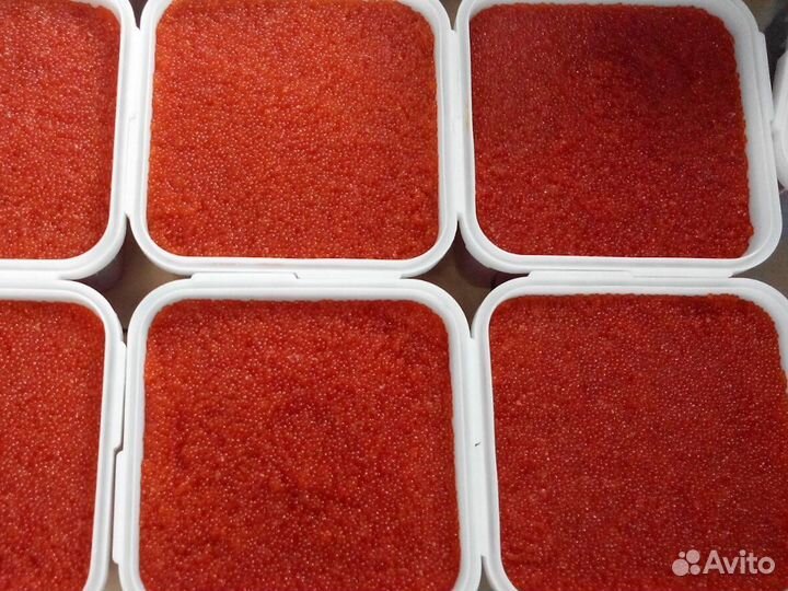 Красная икра кеты