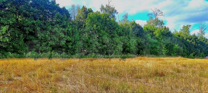 Участок 16,5 сот. (ИЖС)