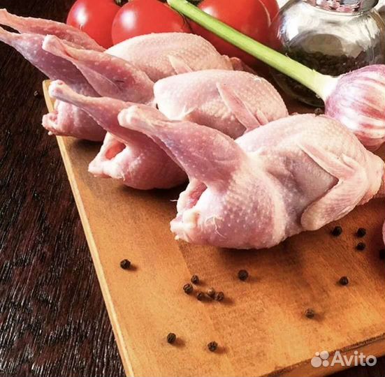 Мясо перепелов