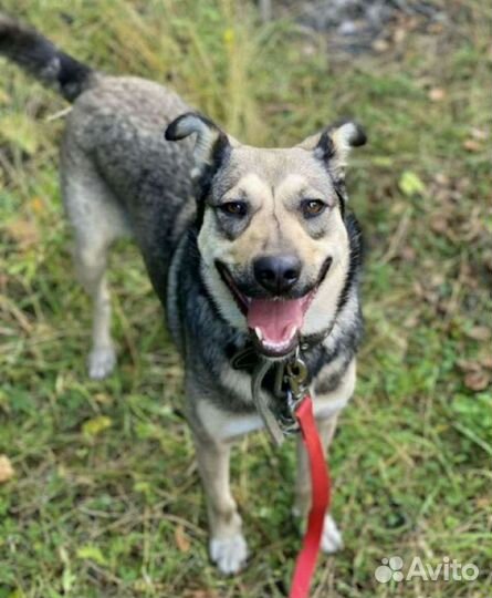 Замечательная девочка