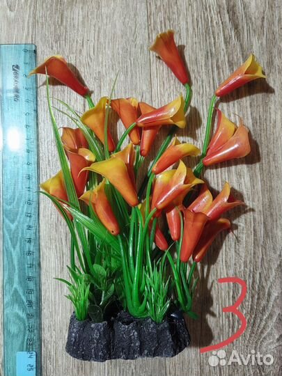 Растения для аквариума