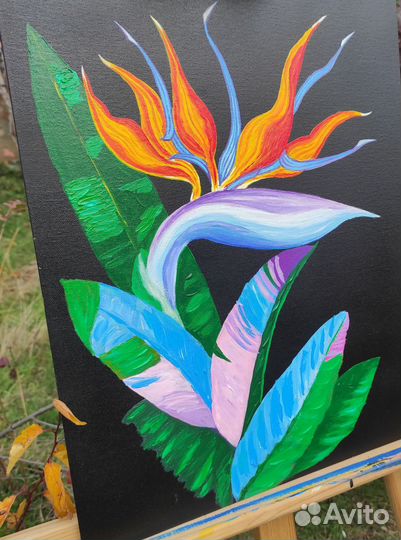 Картина маслом на холсте цветок Стрелиция