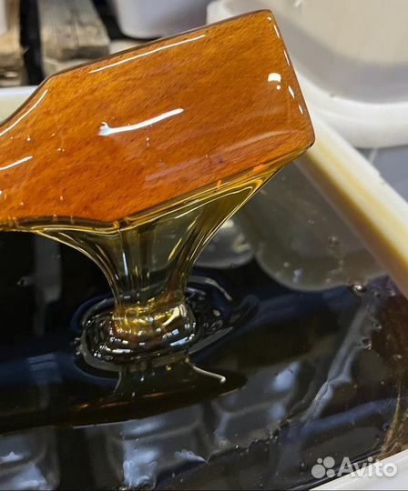 Темное разнотравье свежее оптом