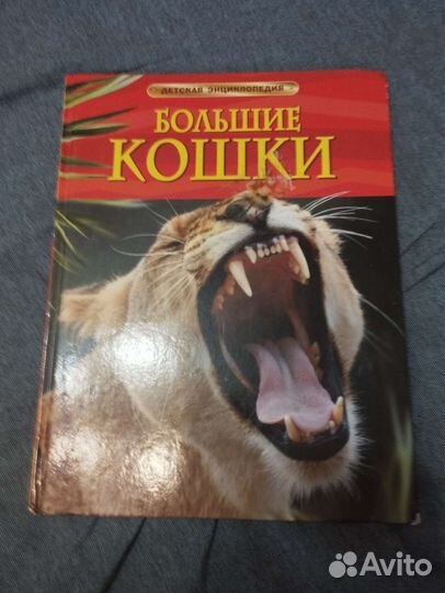 Книга