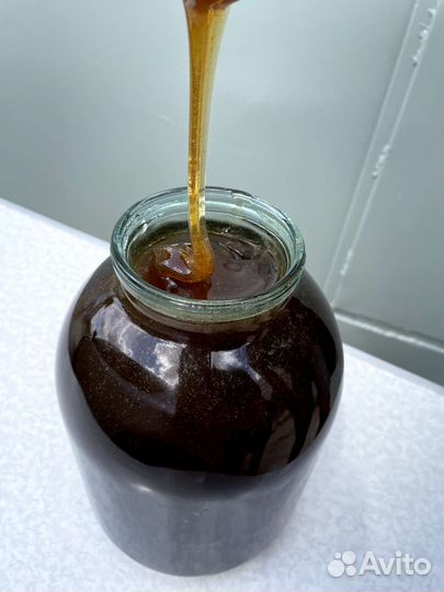 Мед гречишный свежий