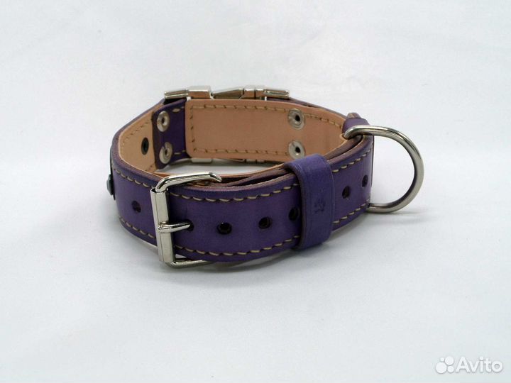 Кожаный ошейник с пряжкой фастекс