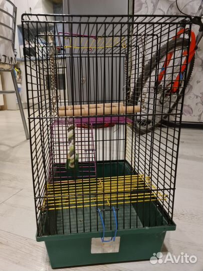 Клетки для грызунов