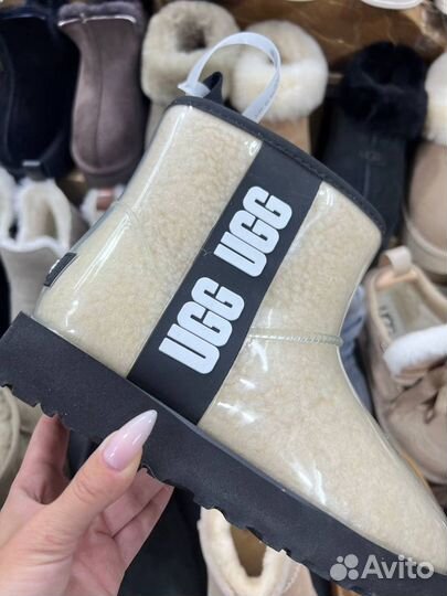 Ботинки Ugg Classic Clear mini