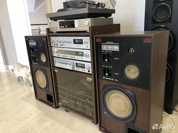 Радиотехника цетр полный из 90 годов