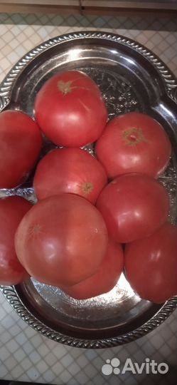 Помидоры домашние