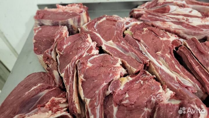 Мясо телятина на кости
